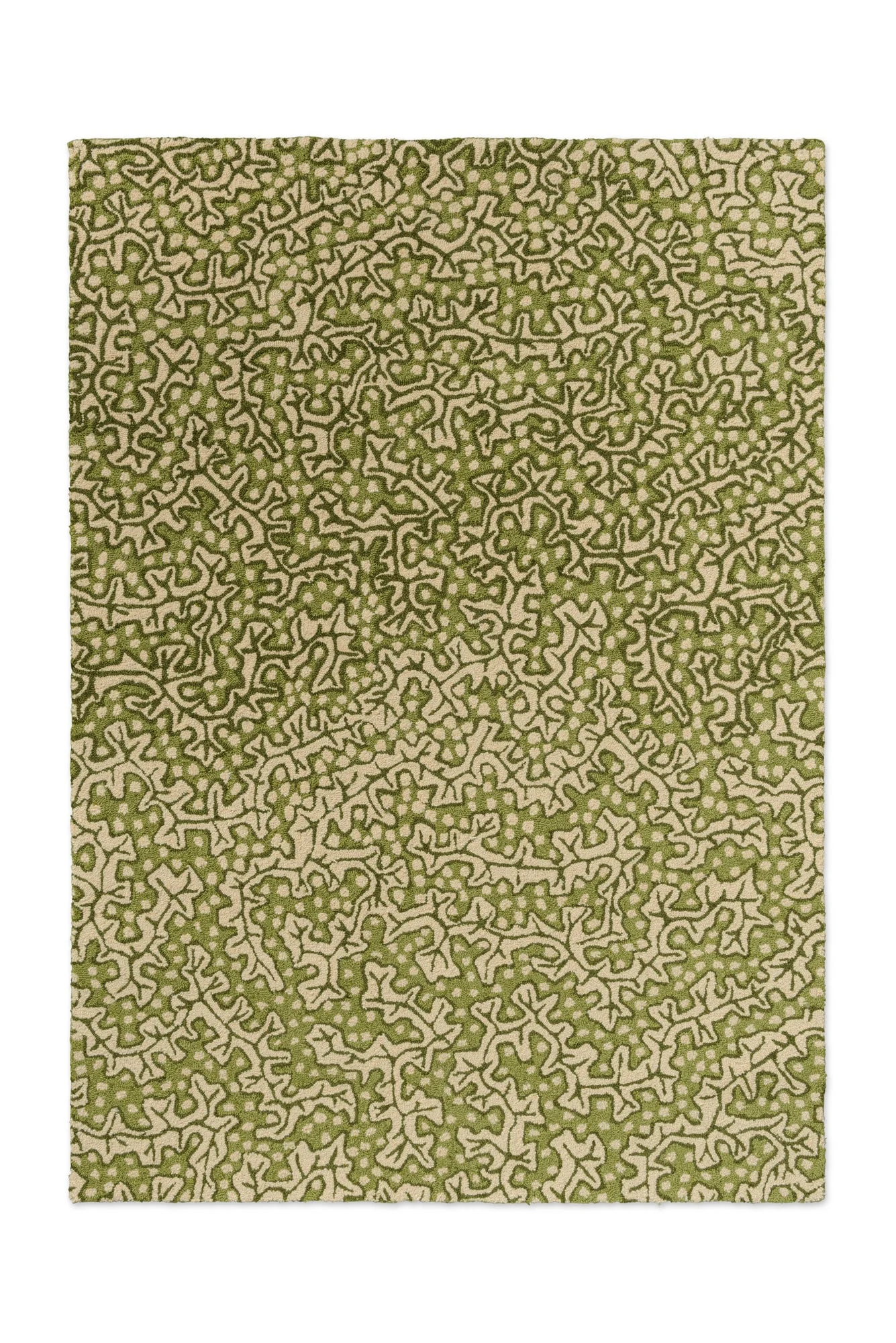 Miniatuur 2