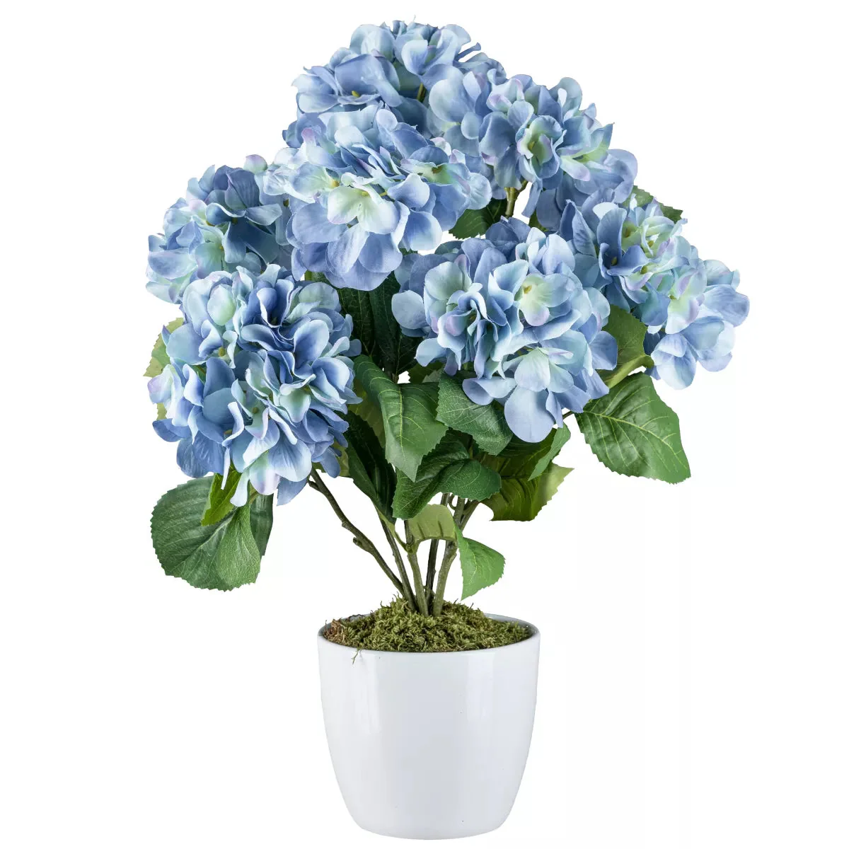 Miniatuur 1