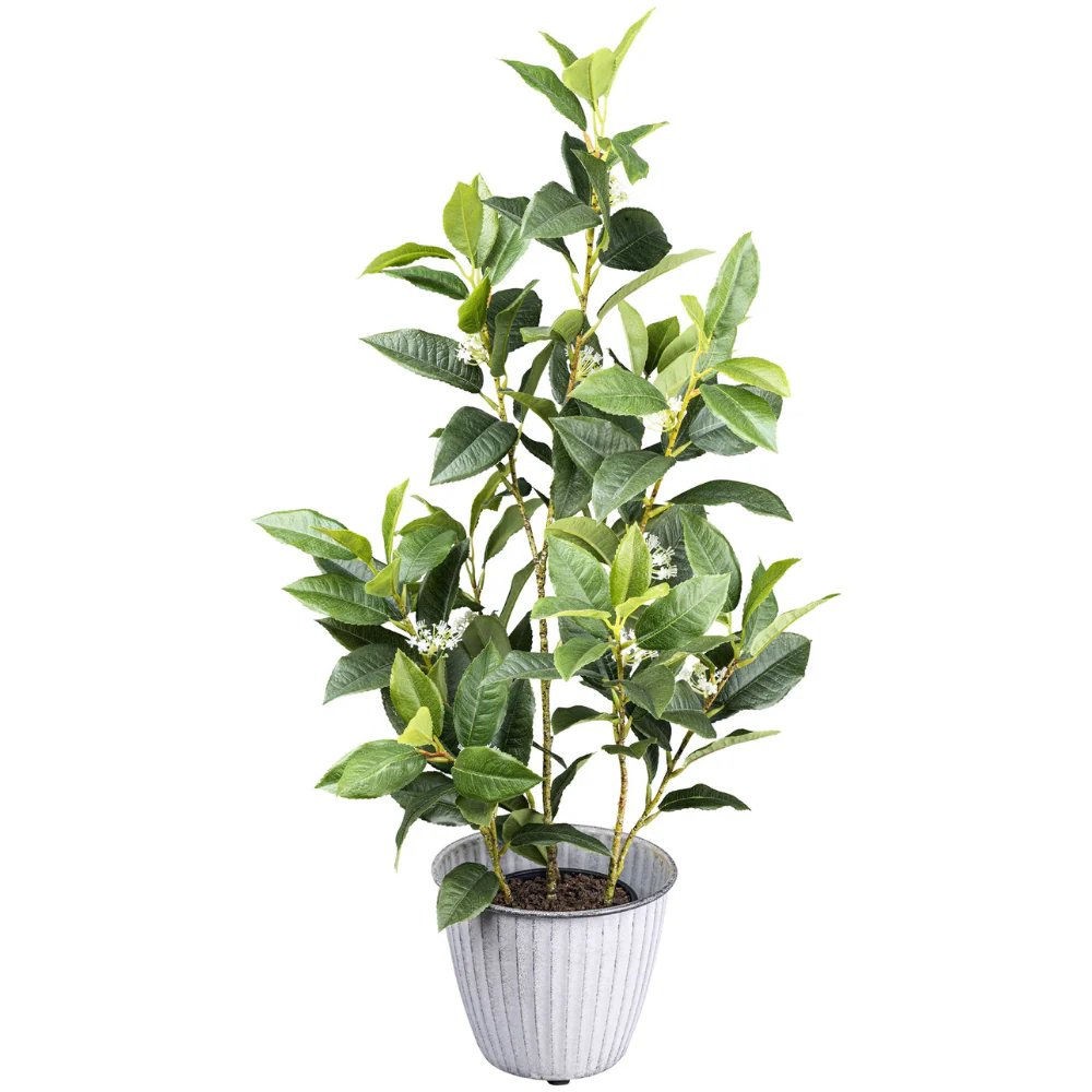 Miniatuur 2