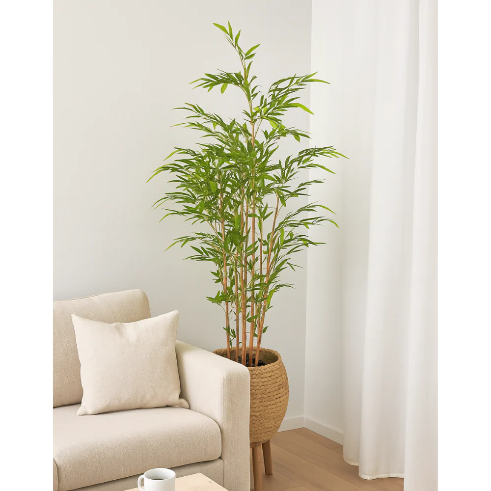 Miniatuur 2