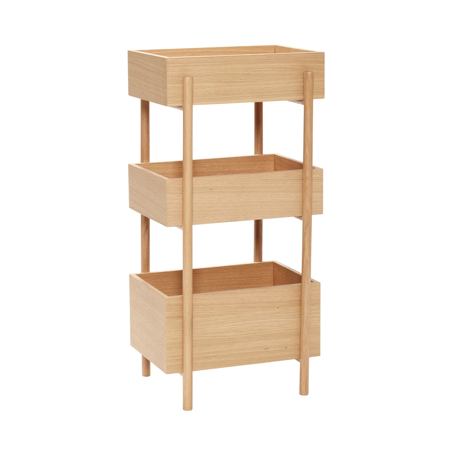 Miniatuur 1