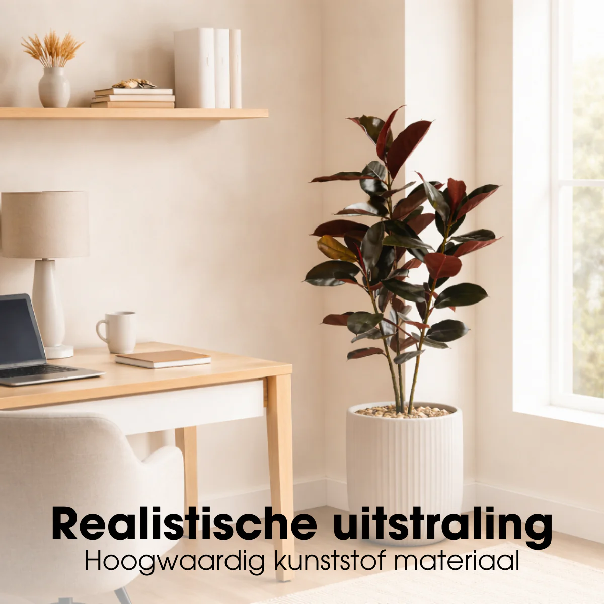 Productafbeelding 6