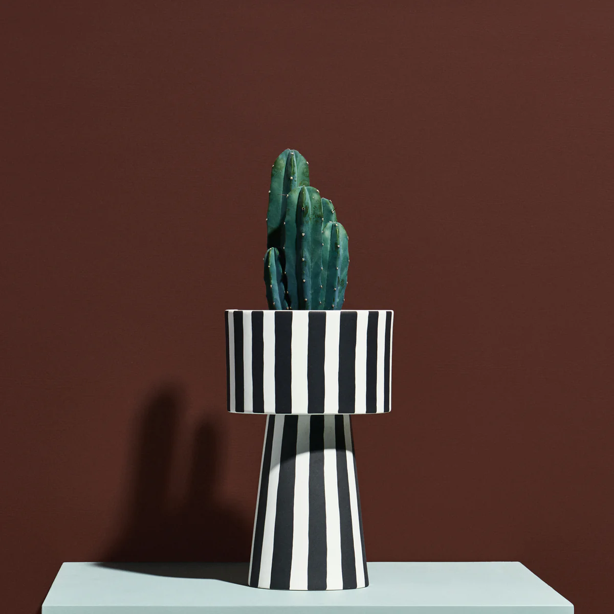Miniatuur 2